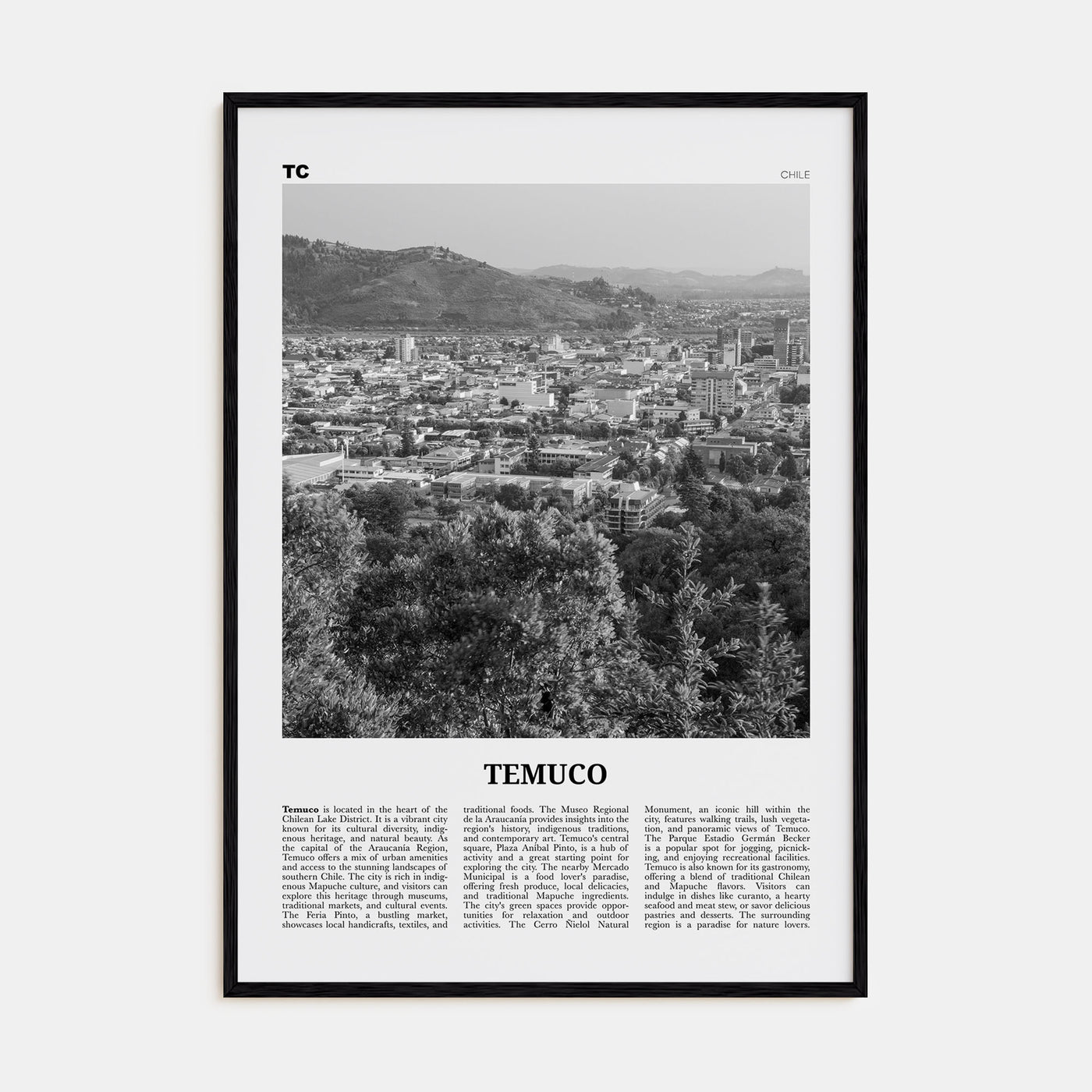 Temuco Travel B&W Poster