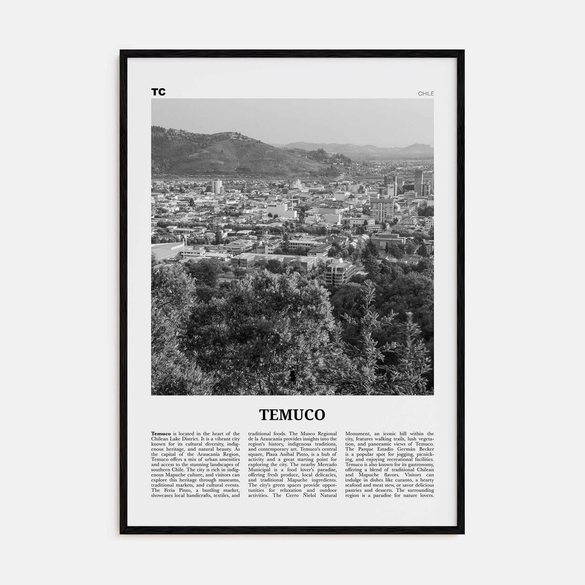 Temuco Travel B&W Poster