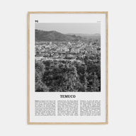 Temuco Travel B&W Poster