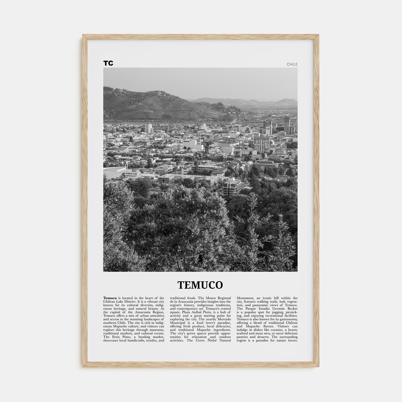 Temuco Travel B&W Poster