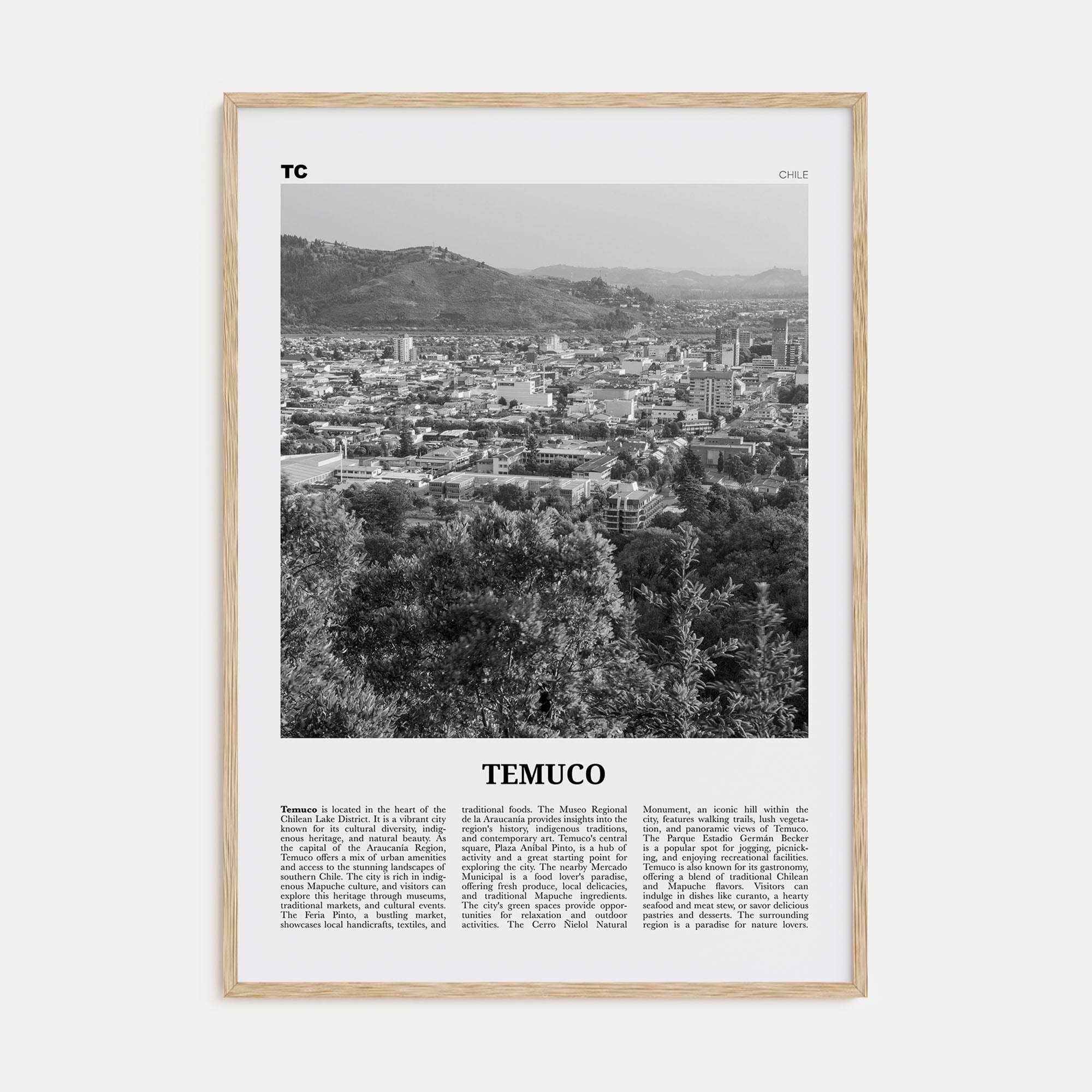 Temuco Travel B&W Poster