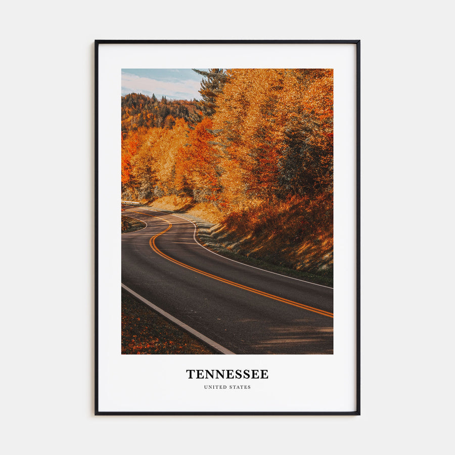 Tennessee Portrait Color No 2 Poster