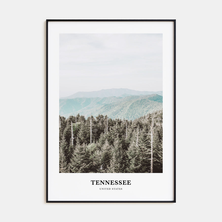 Tennessee Portrait Color No 3 Poster