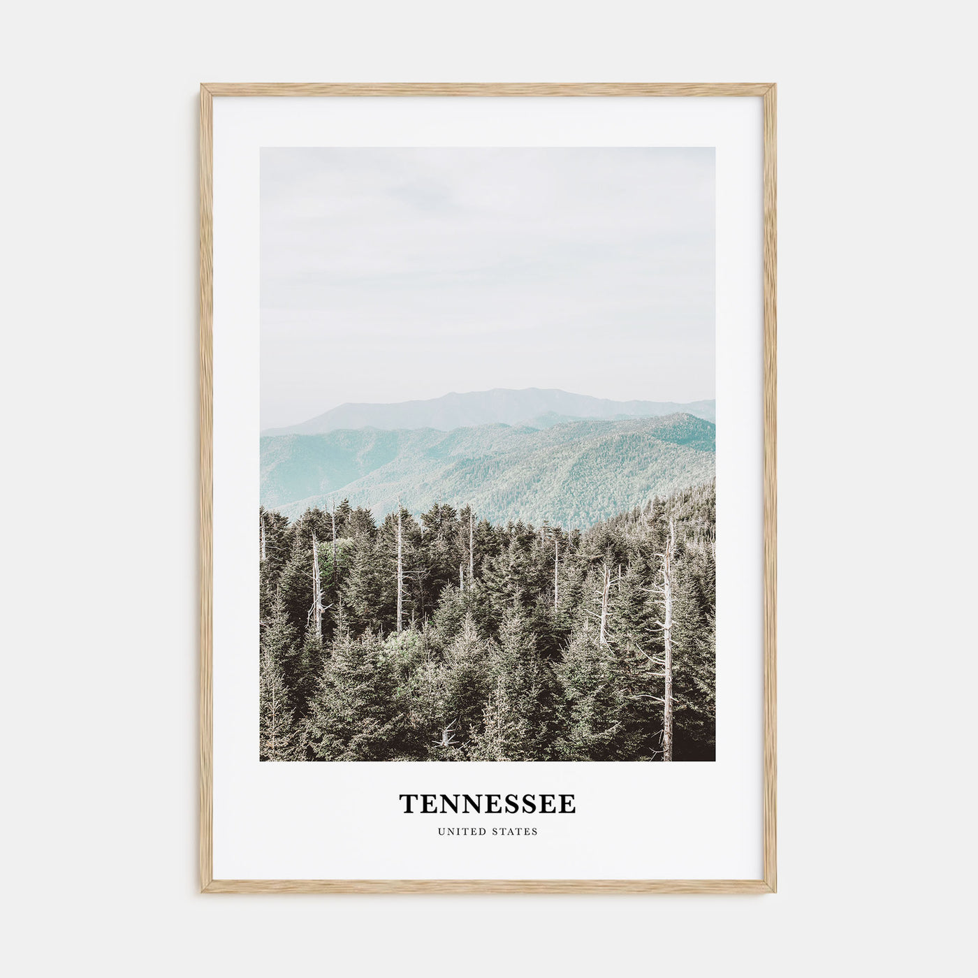 Tennessee Portrait Color No 3 Poster