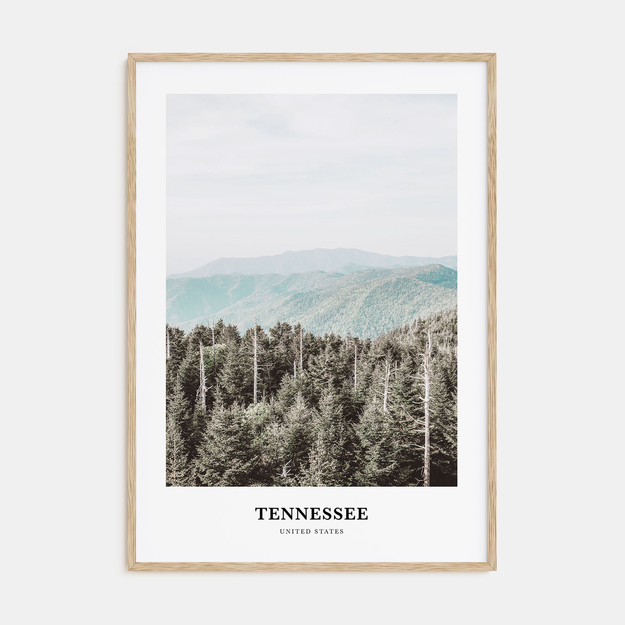 Tennessee Portrait Color No 3 Poster