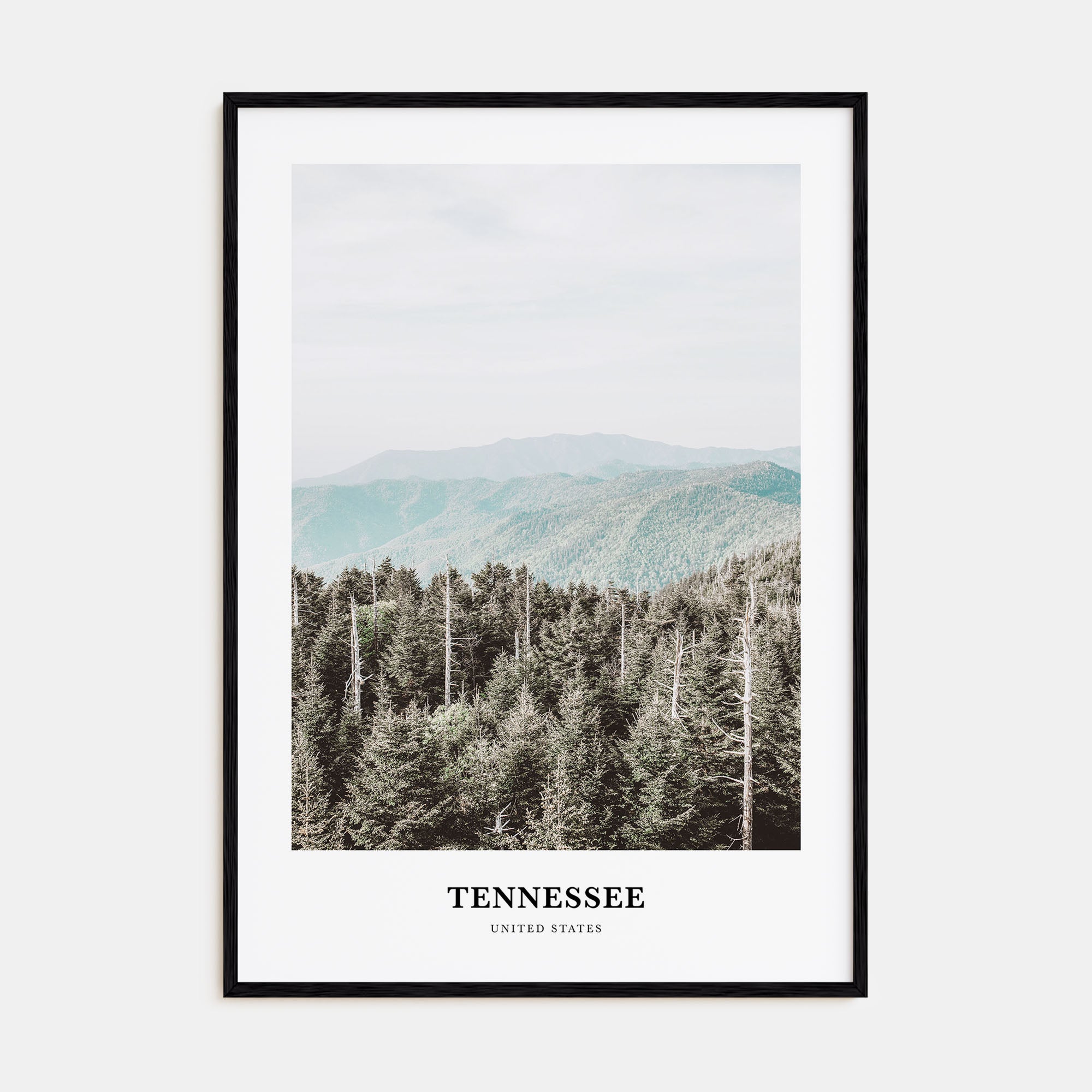 Tennessee Portrait Color No 3 Poster