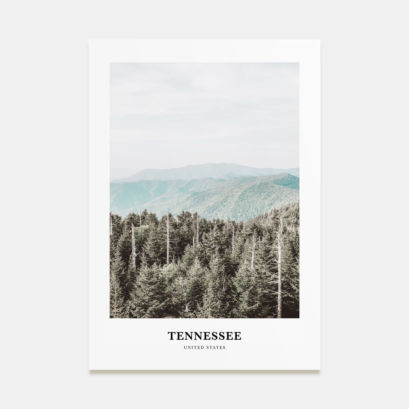 Tennessee Portrait Color No 3 Poster