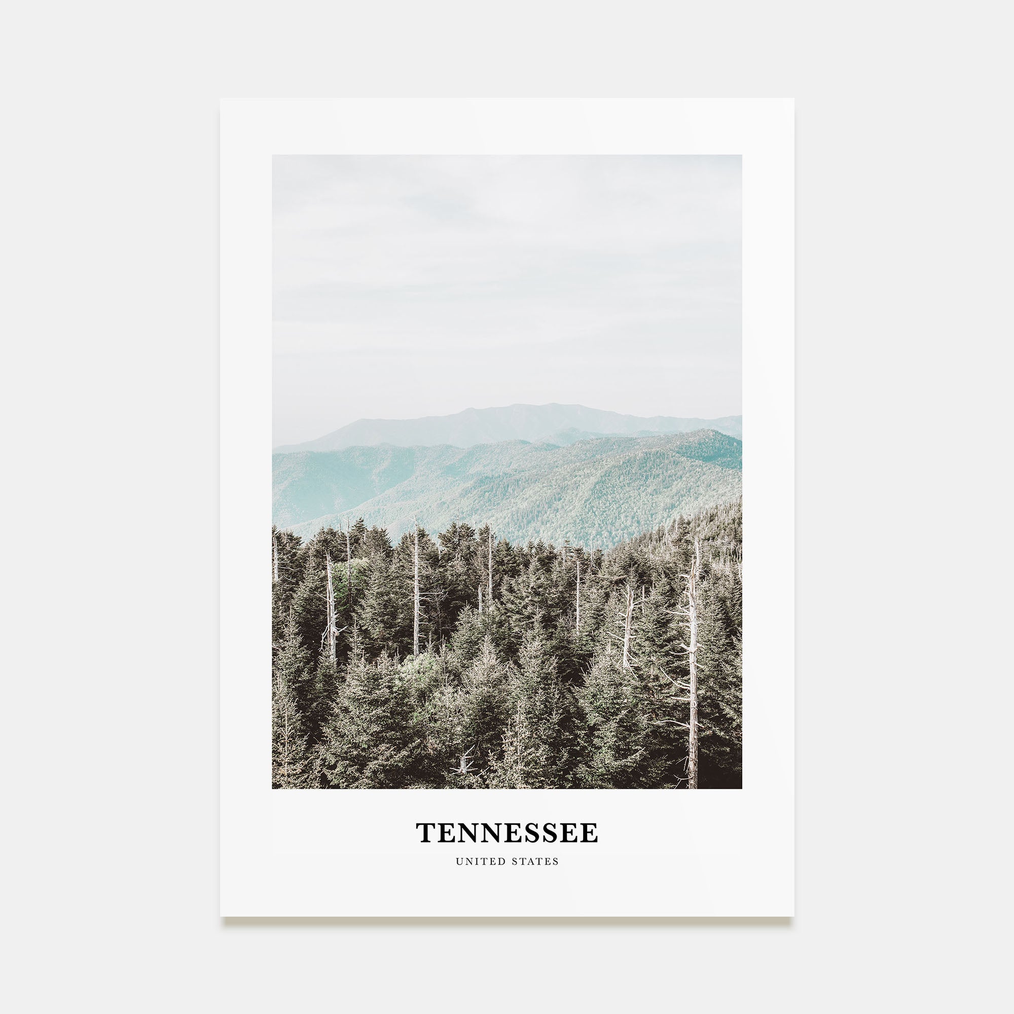 Tennessee Portrait Color No 3 Poster