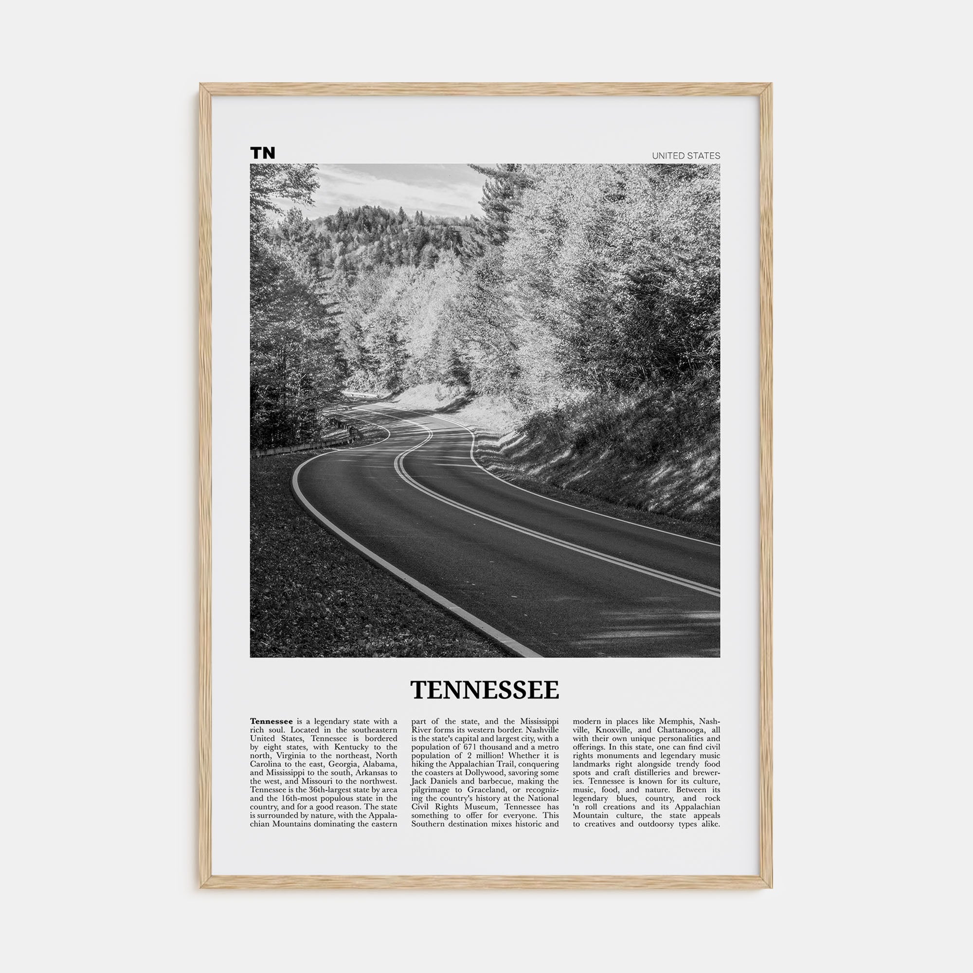 Tennessee Travel B&W No 2 Poster