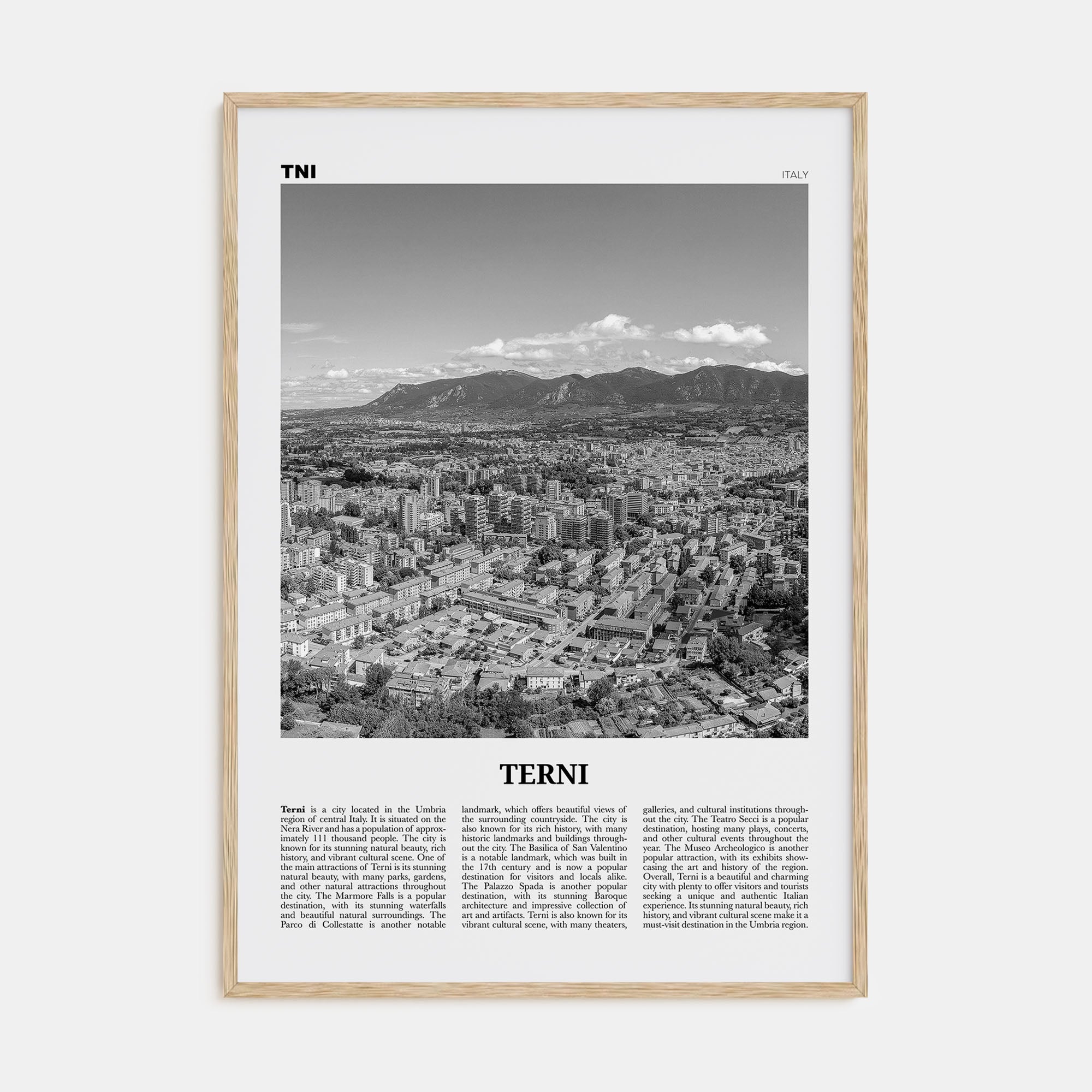 Terni Travel B&W Poster
