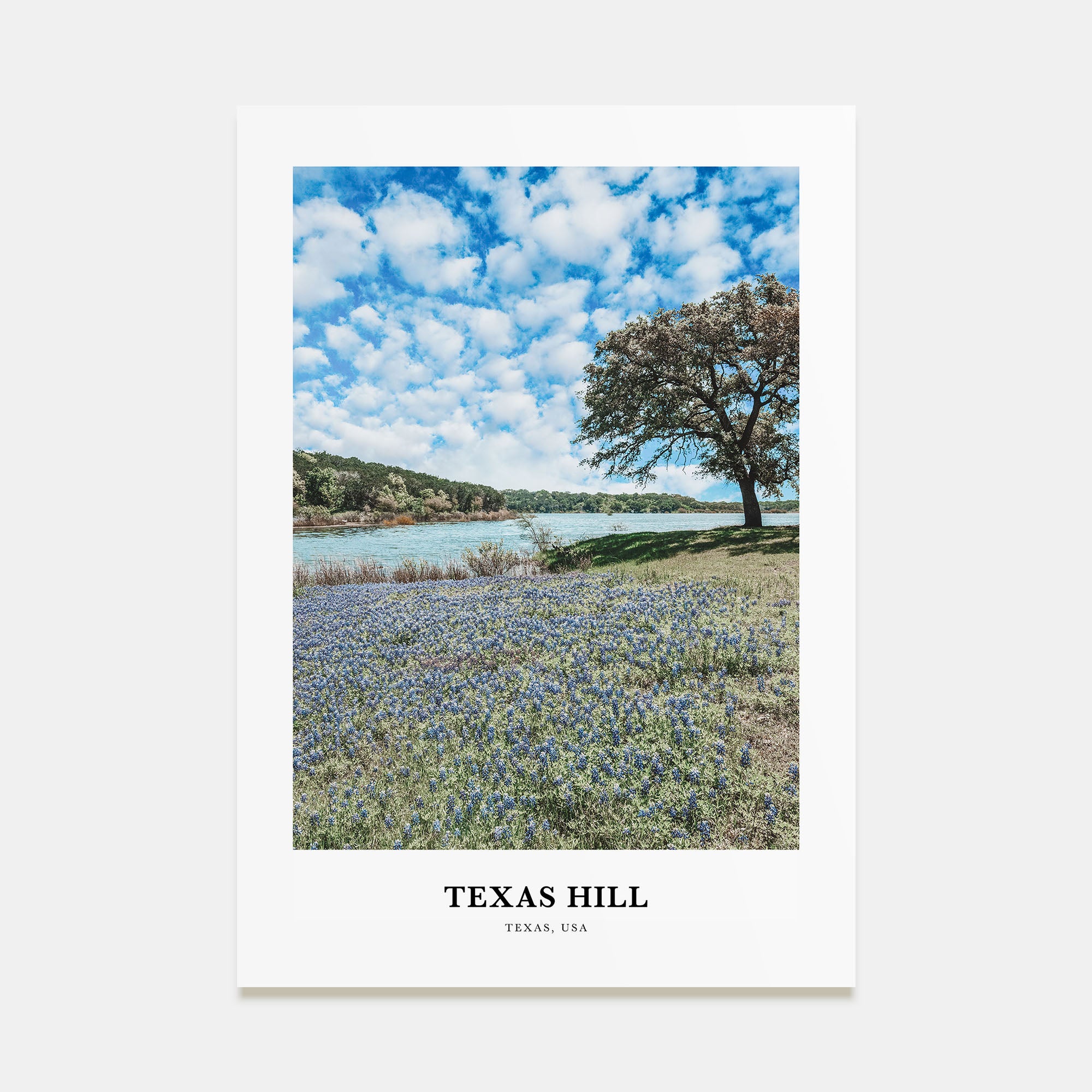 Texas Hill Portrait Color Poster