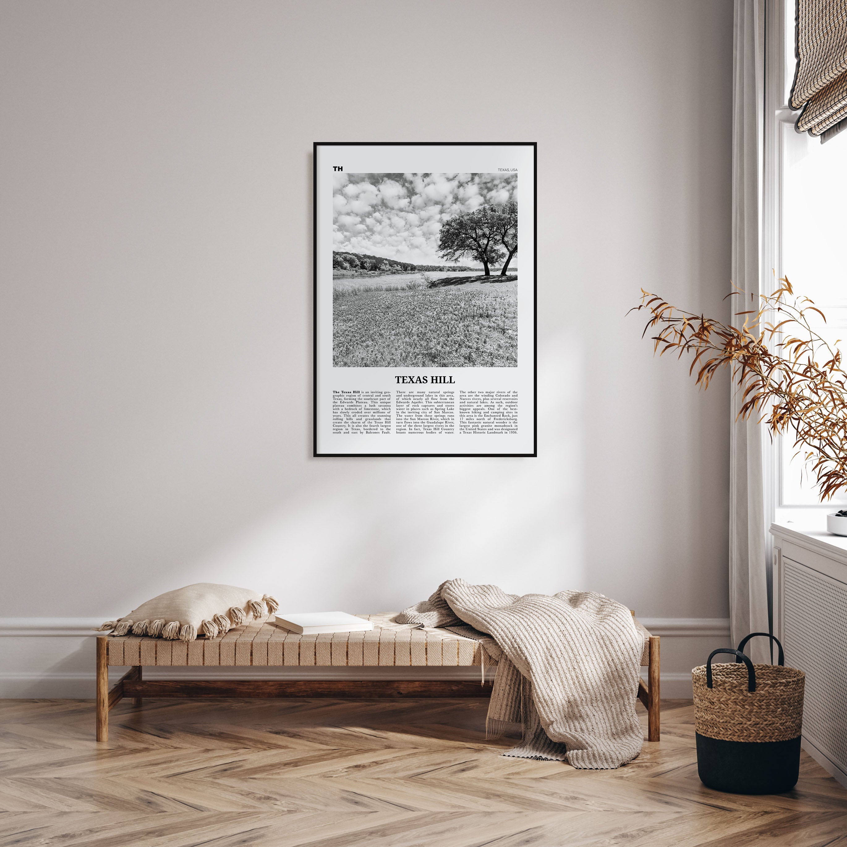 Texas Hill Travel B&W Poster