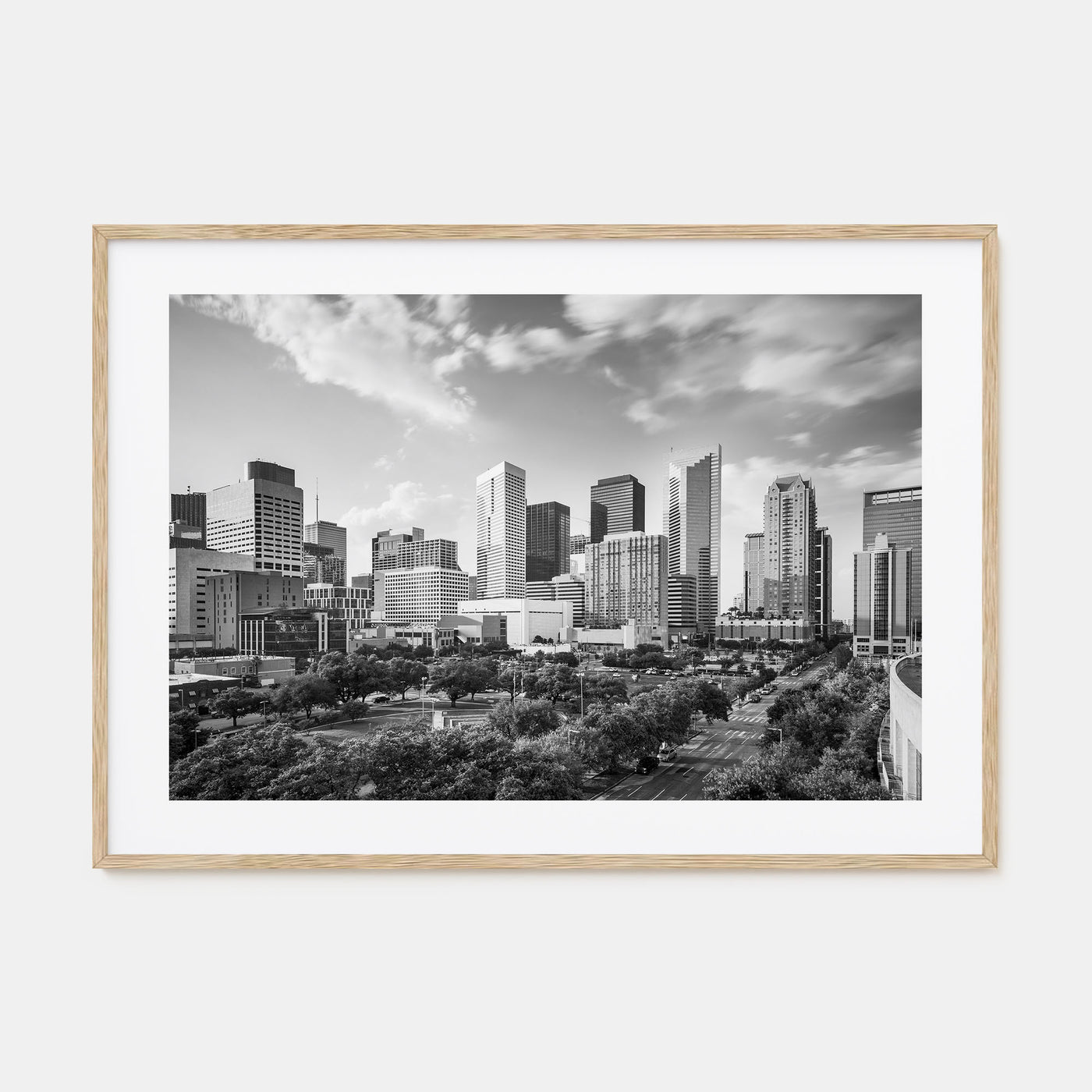 Texas Landscape B&W Poster