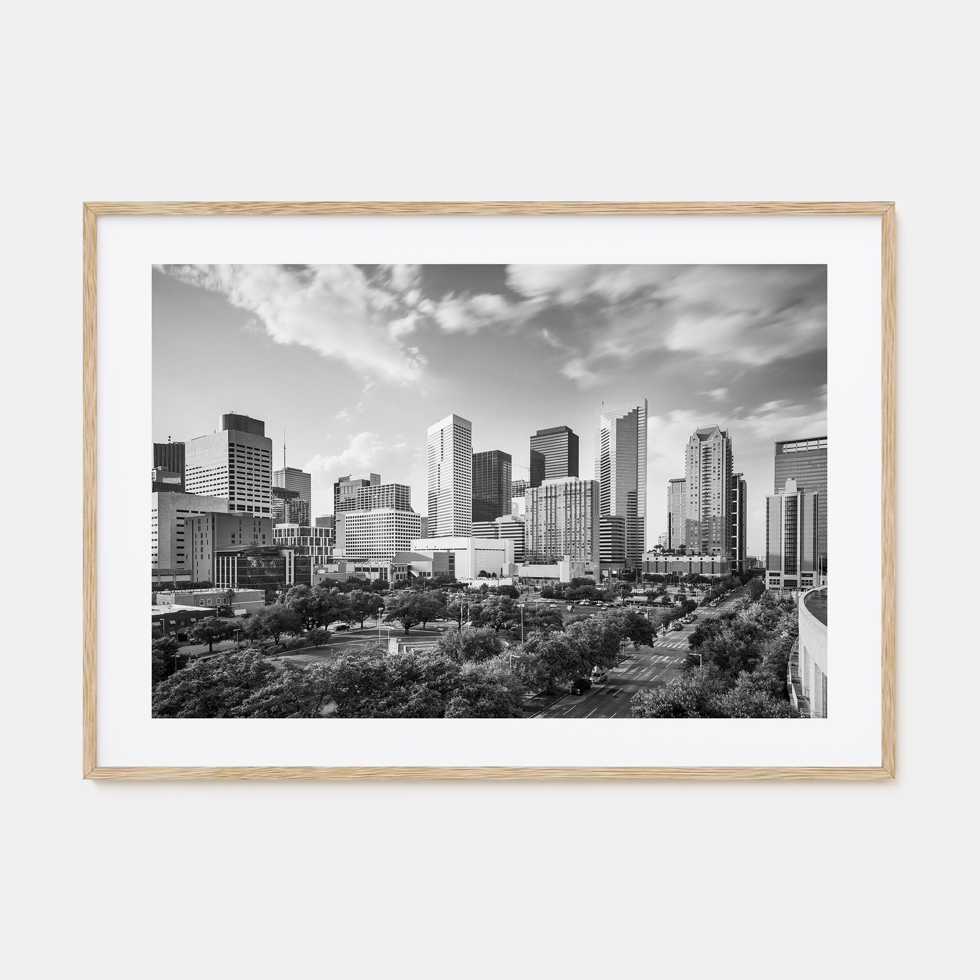 Texas Landscape B&W Poster