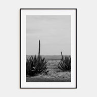 Texas Photo B&W No 1 Poster
