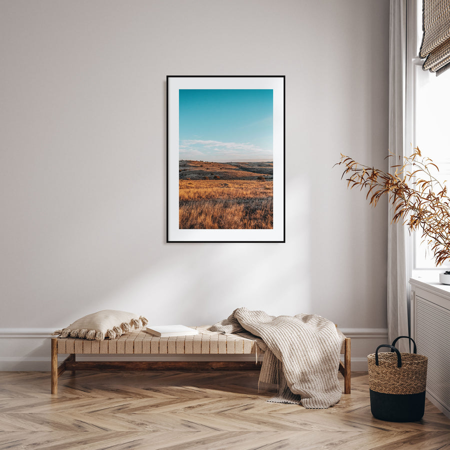Texas Photo Color Poster