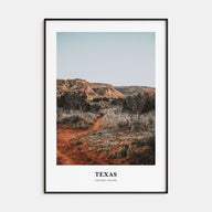 Texas Portrait Color No 1 Poster