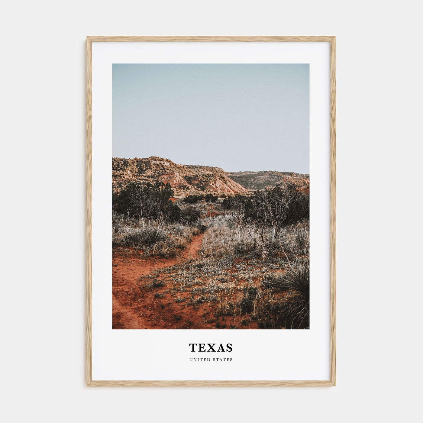 Texas Portrait Color No 1 Poster