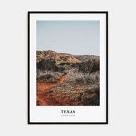 Texas Portrait Color No 1 Poster