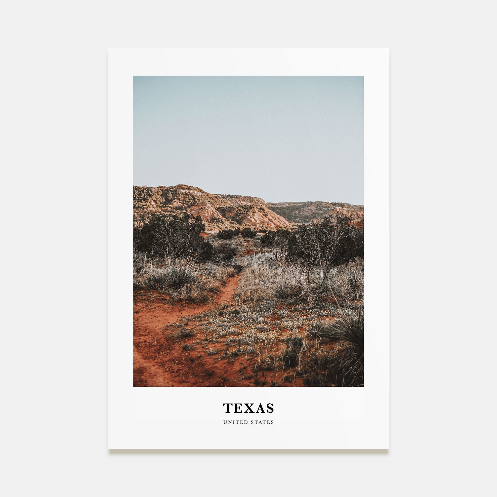 Texas Portrait Color No 1 Poster