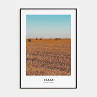 Texas Portrait Color No 2 Poster