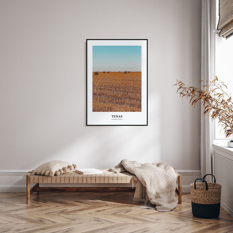 Texas Portrait Color No 2 Poster