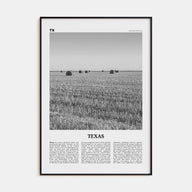 Texas Travel B&W No 3 Poster