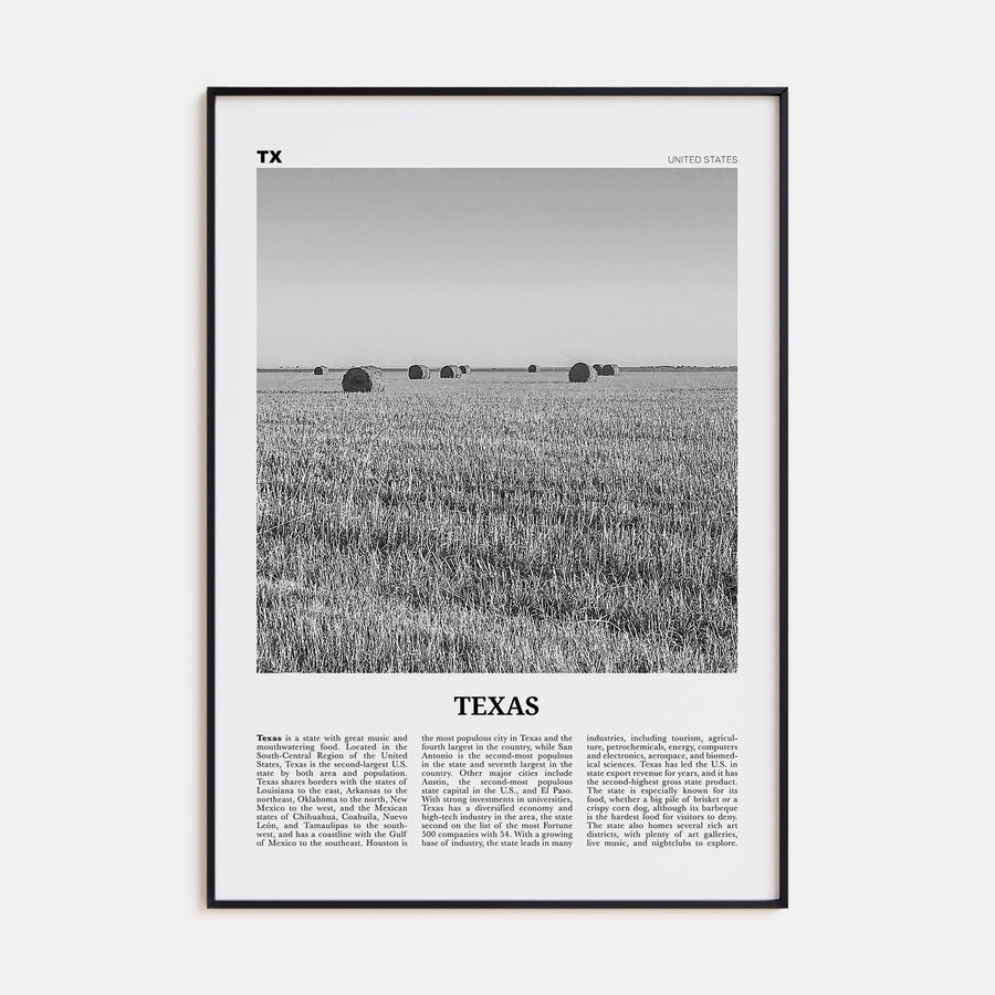 Texas Travel B&W No 3 Poster
