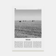 Texas Travel B&W No 3 Poster