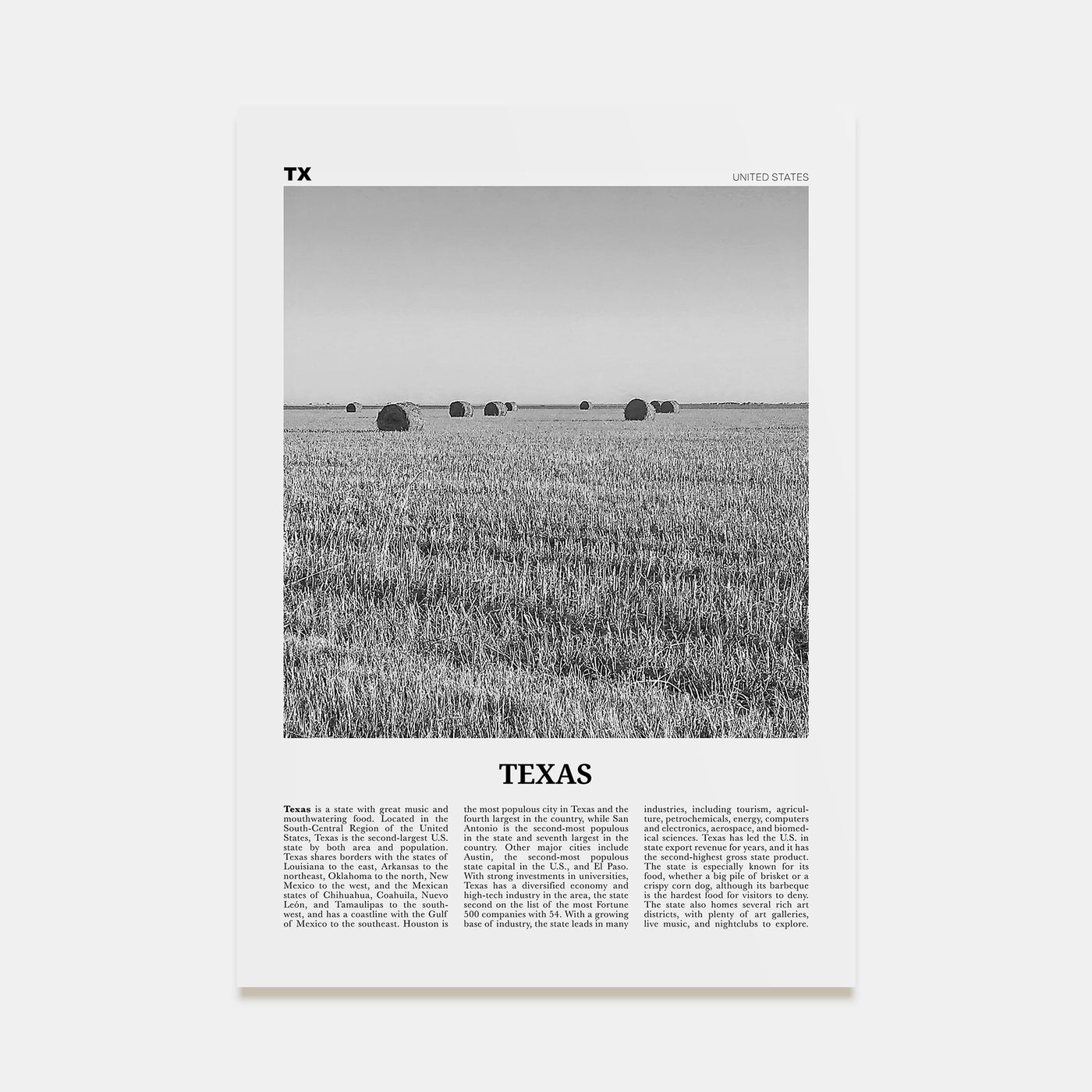 Texas Travel B&W No 3 Poster