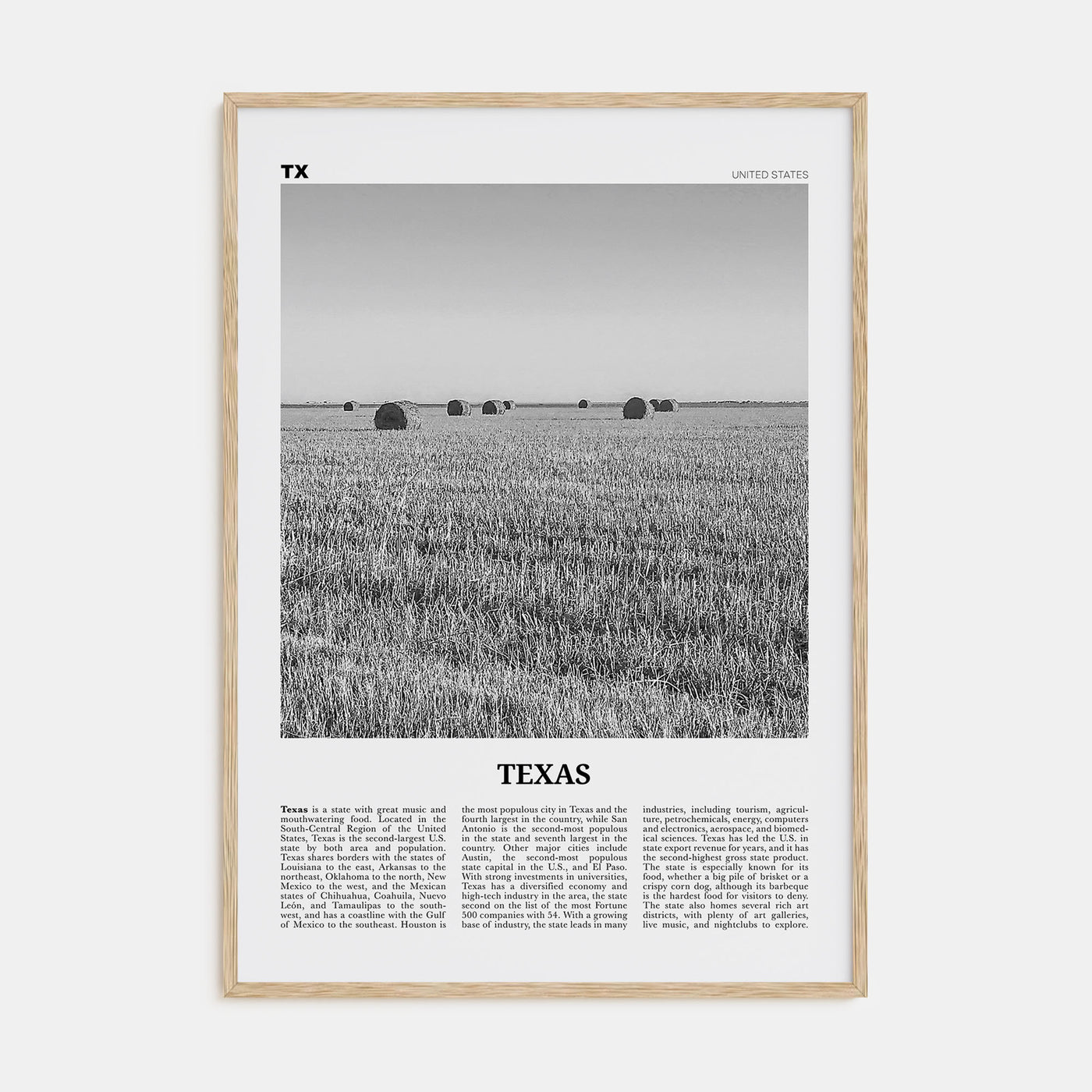 Texas Travel B&W No 3 Poster