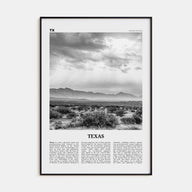Texas Travel B&W No 4 Poster