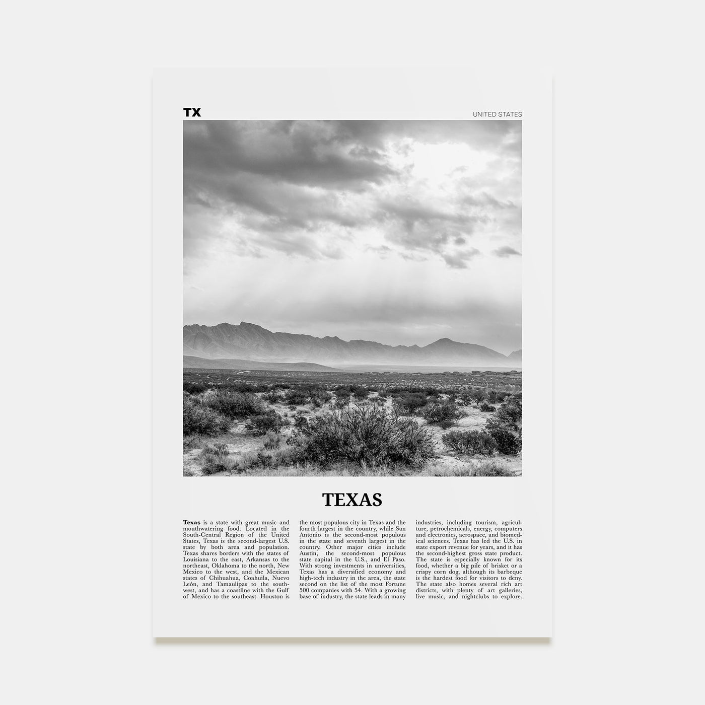 Texas Travel B&W No 4 Poster