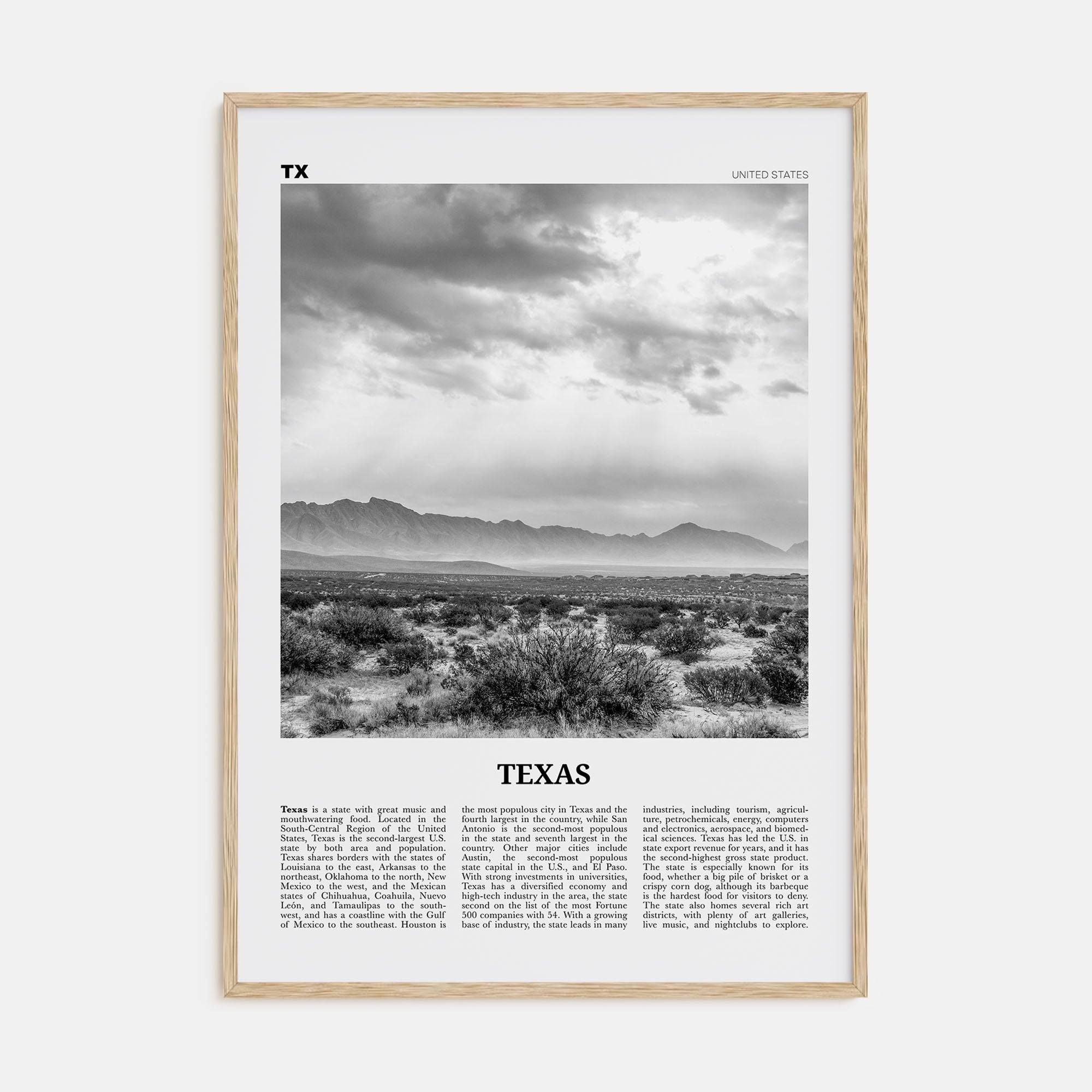 Texas Travel B&W No 4 Poster