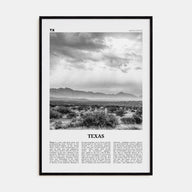 Texas Travel B&W No 4 Poster
