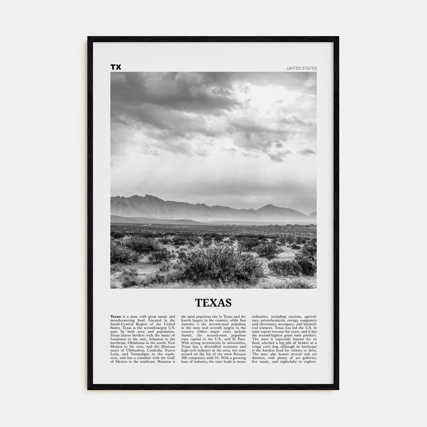 Texas Travel B&W No 4 Poster