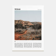Texas Travel Color No 1 Poster
