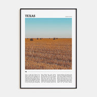 Texas Travel Color No 2 Poster