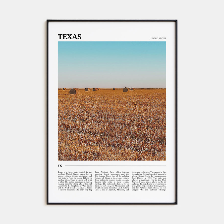 Texas Travel Color No 2 Poster