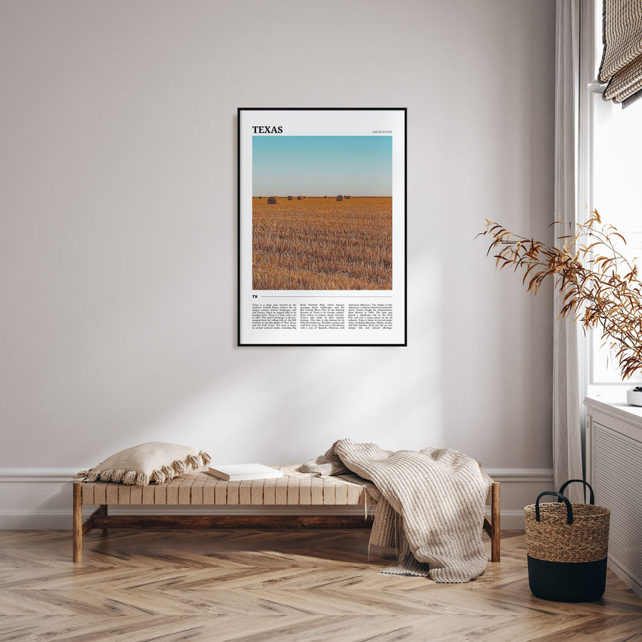 Texas Travel Color No 2 Poster