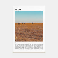 Texas Travel Color No 2 Poster