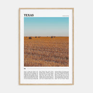 Texas Travel Color No 2 Poster