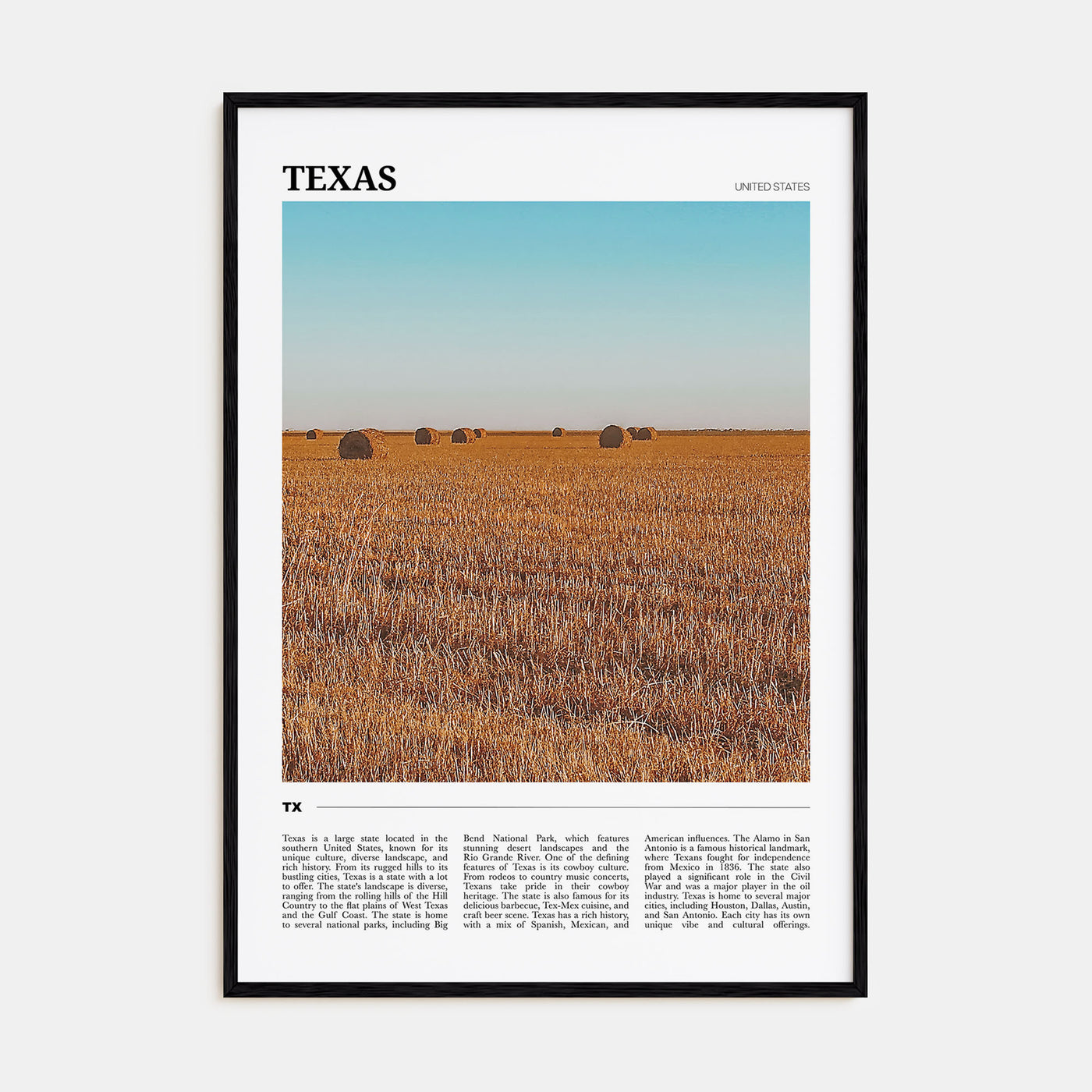 Texas Travel Color No 2 Poster