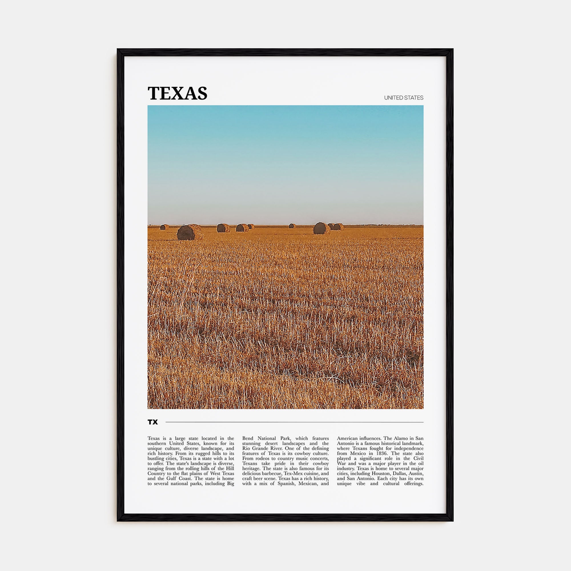 Texas Travel Color No 2 Poster