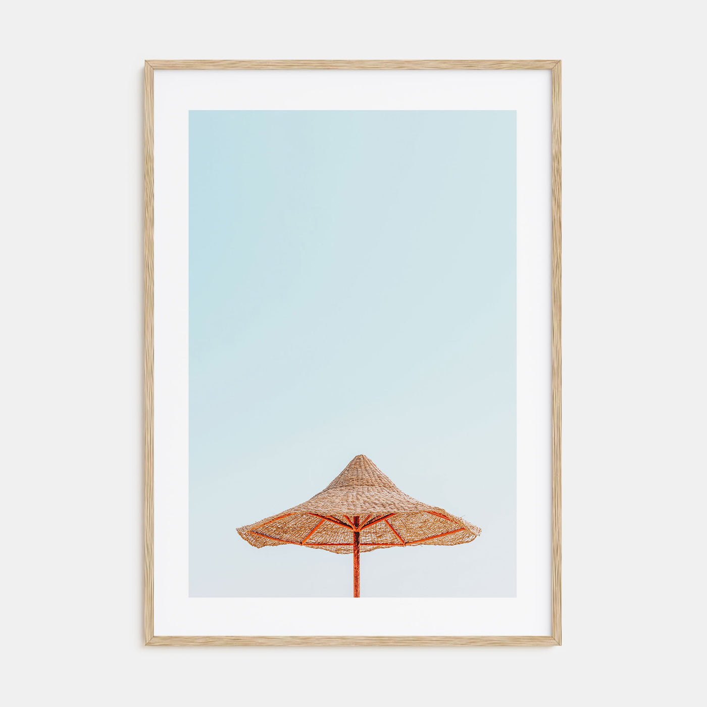 Thatched Hut Photo Color Poster