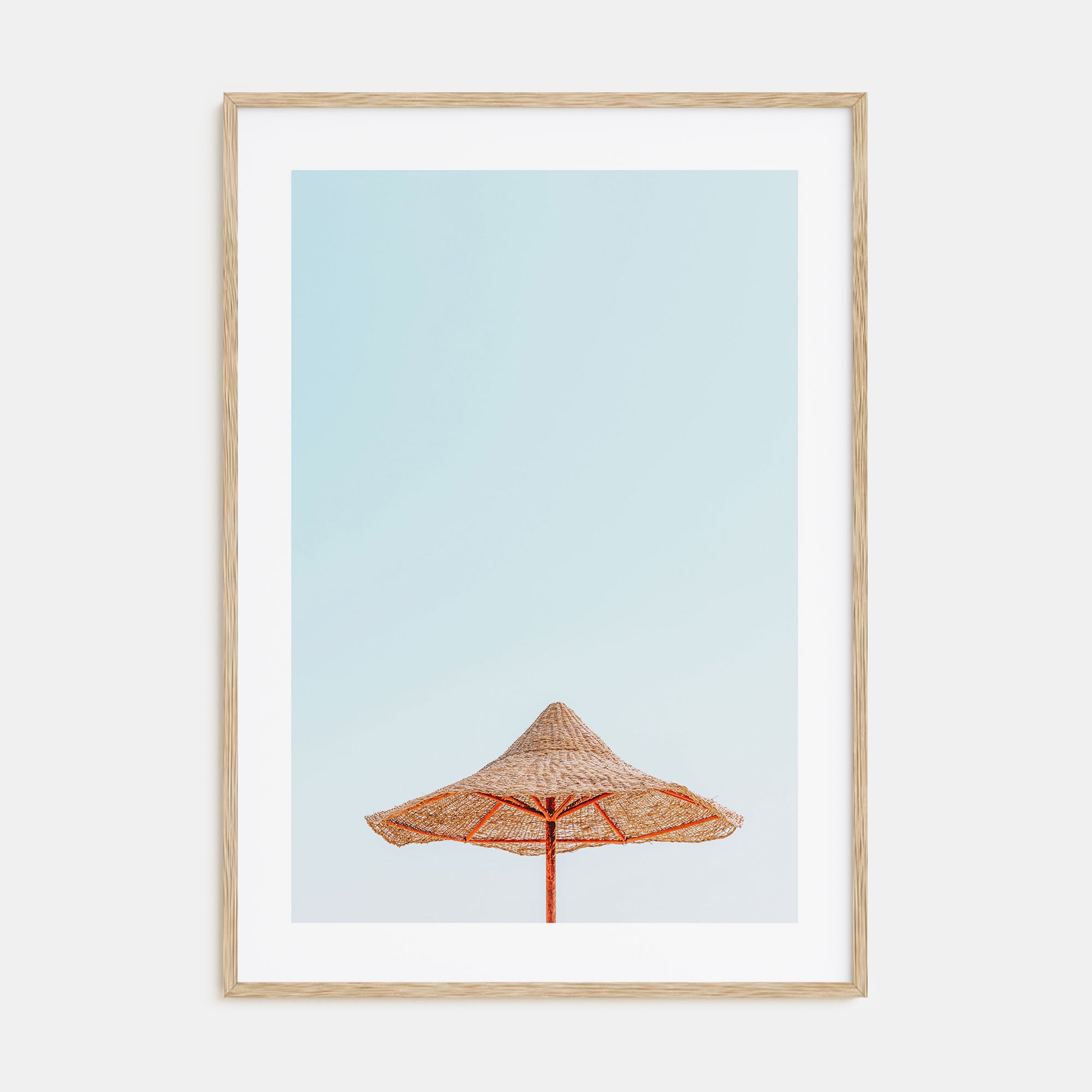Thatched Hut Photo Color Poster