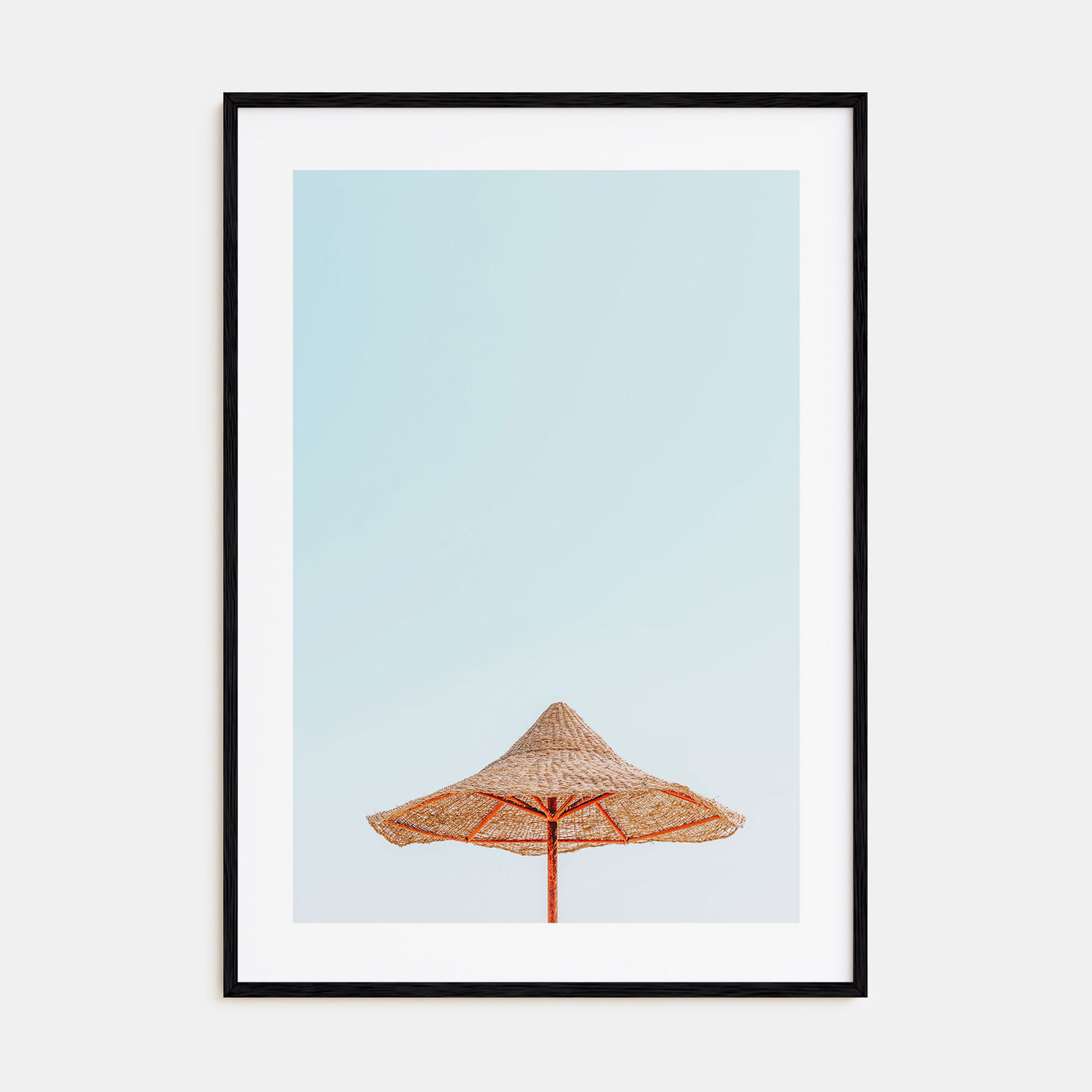 Thatched Hut Photo Color Poster