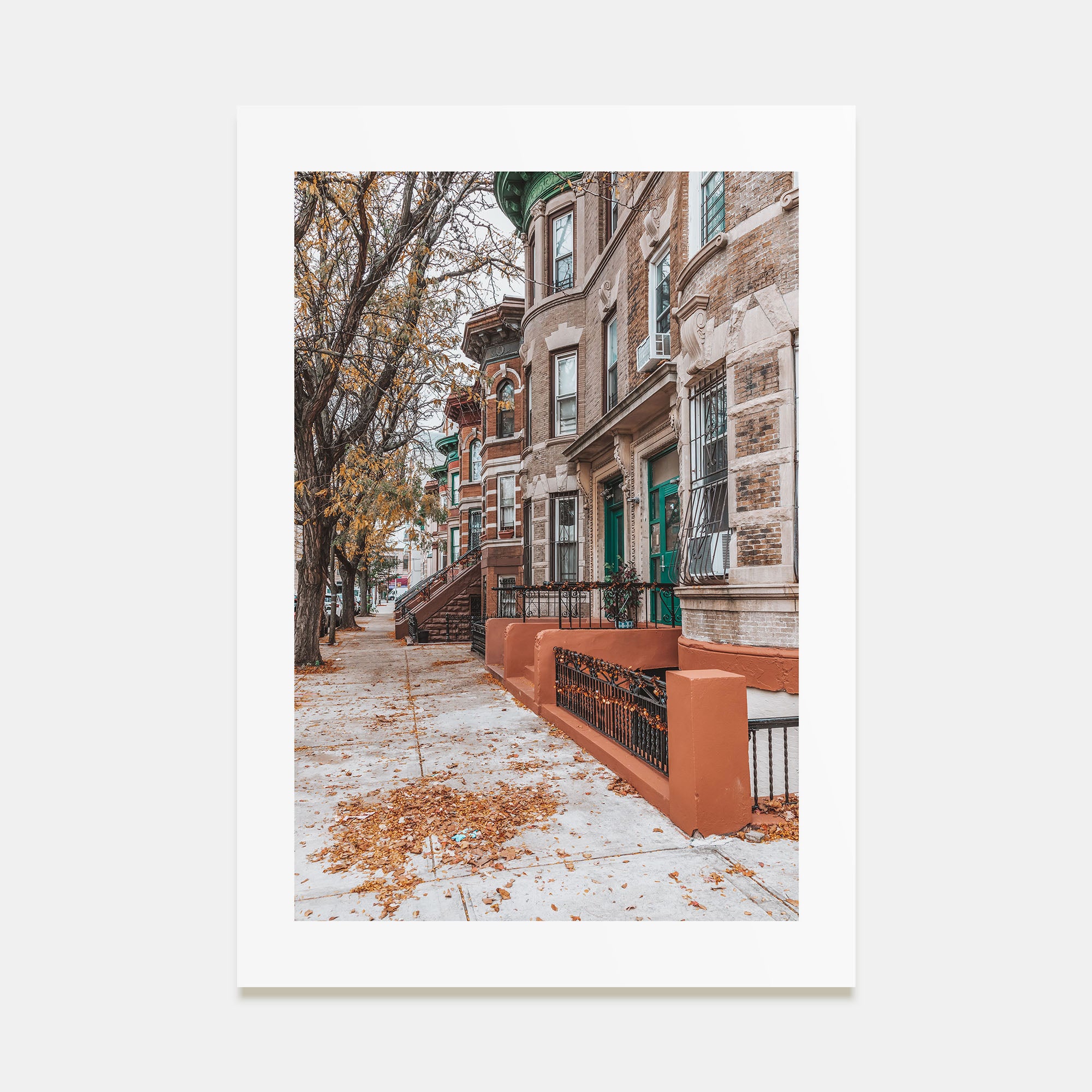 The Bronx Photo Color No 3 Poster