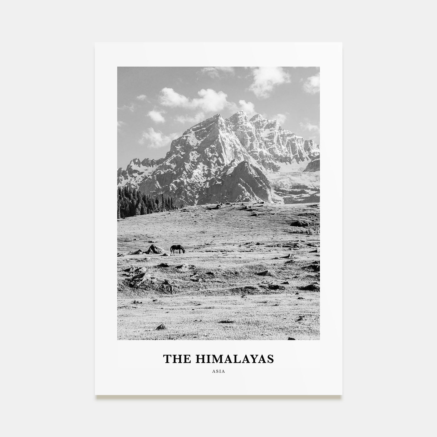 The Himalayas Portrait B&W Poster