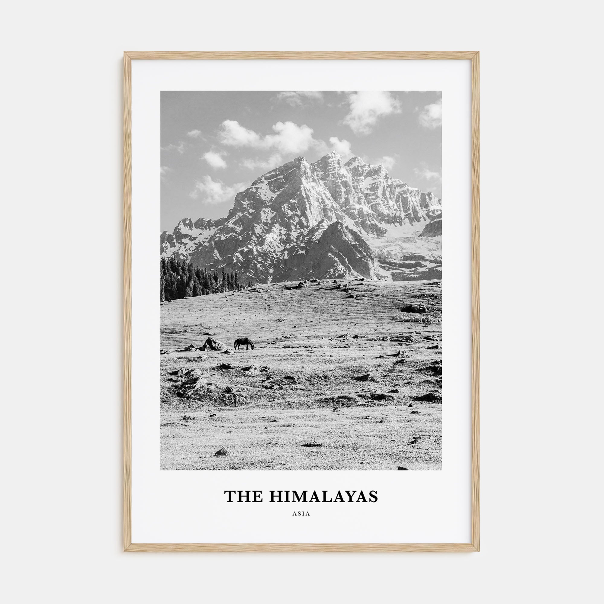 The Himalayas Portrait B&W Poster